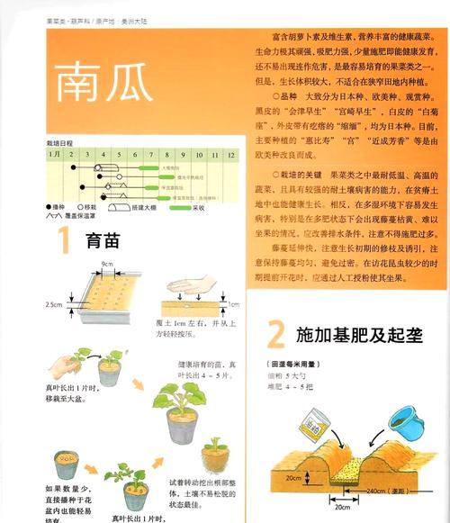 玩具南瓜种植的步骤是什么？种植玩具南瓜需要注意什么？