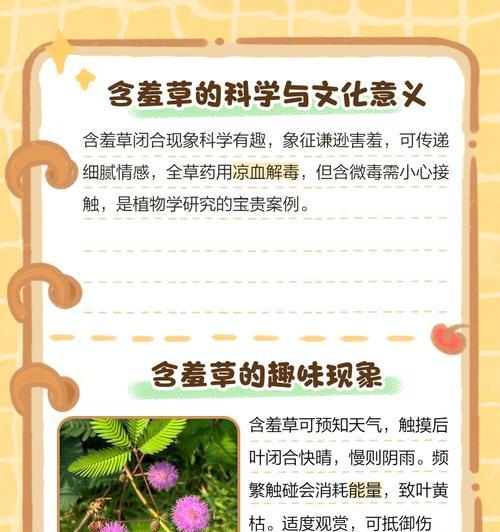 害羞草的反应机制是什么？