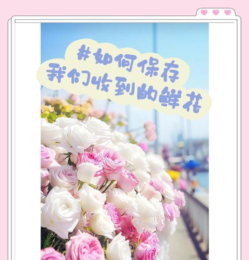 如何延长玫瑰花的花期？有哪些保鲜技巧？