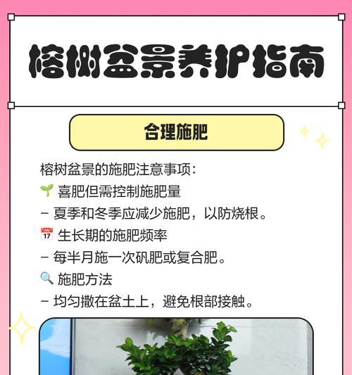 人参榕换盆的正确步骤是什么？如何避免根系损伤？