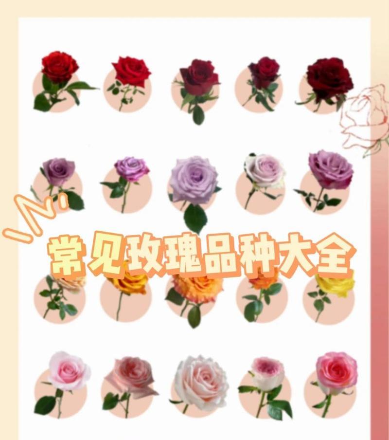 花草品种及名称是什么？如何了解不同花草的品种及名称？